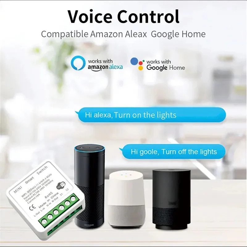 Alexa & Google Home